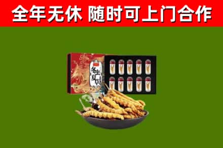 梁平回收冬虫夏草价格