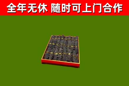 梁平回收海参